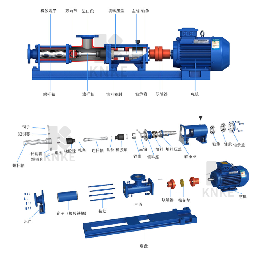 進口無極調速螺桿泵結構圖